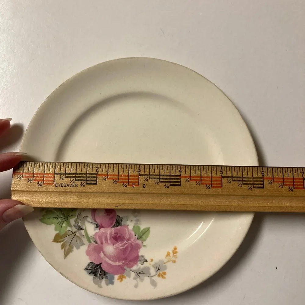 Vintage Salad Plates (2) 6 Inches with Pink & Blue Flowers / Roses